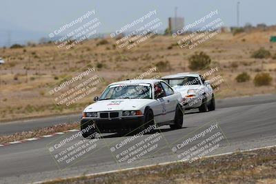 media/May-03-2025-Lucky Dog Racing (Sat) [[206de64b9d]]/Turn 6 (150pm-230pm)/